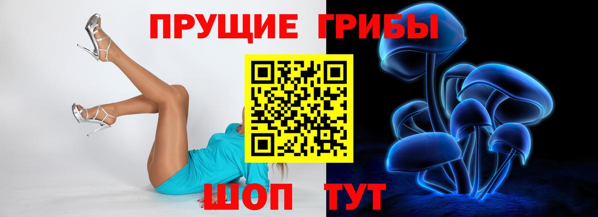 Галлюциногенные грибы мухоморы Магадан